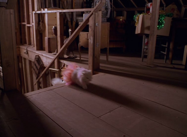 Dennis the Menace Strikes Again - long haired white cat Mr. Coodles in pink tutu running into attic