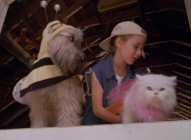 Dennis the Menace Strikes Again - long haired white cat Mr. Coodles in pink tutu in window with Ruff and Gina Alexa Vega