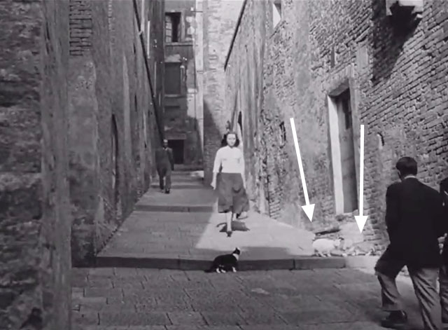 Deported - Gina Marina Berti walking down street past black and white tuxedo cat and two other cats