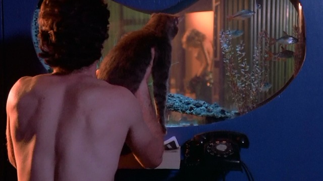 Desperately Seeking Susan - Dez Aidan Quinn holding gray tabby cat by aquarium