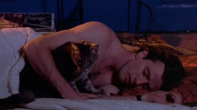 Desperately Seeking Susan - Dez Aidan Quinn with arm over gray tabby cat