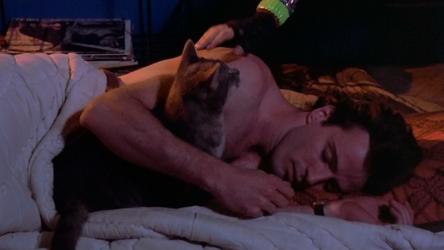 Desperately Seeking Susan - Dez Aidan Quinn laying down with gray tabby cat