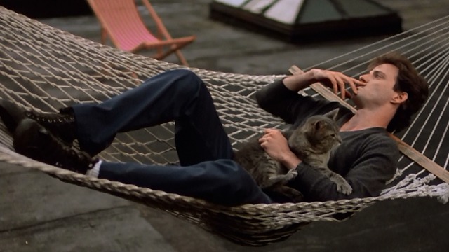 Desperately Seeking Susan - Dez Aidan Quinn in hammock with gray tabby cat by aquarium