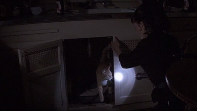 Deuces Wild - orange tabby cat inside cabinet with litter box and Annie Fairuza Balk