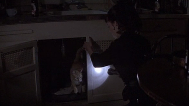 Deuces Wild - orange tabby cat steps outside cabinet with litter box and Annie Fairuza Balk