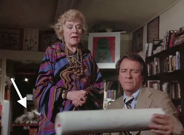 Devil Dog the Hound from Hell - shopkeeper Gertrude Flynn and Mike Richard Crenna sitting in shop with longhair gray and white cat on desk in background