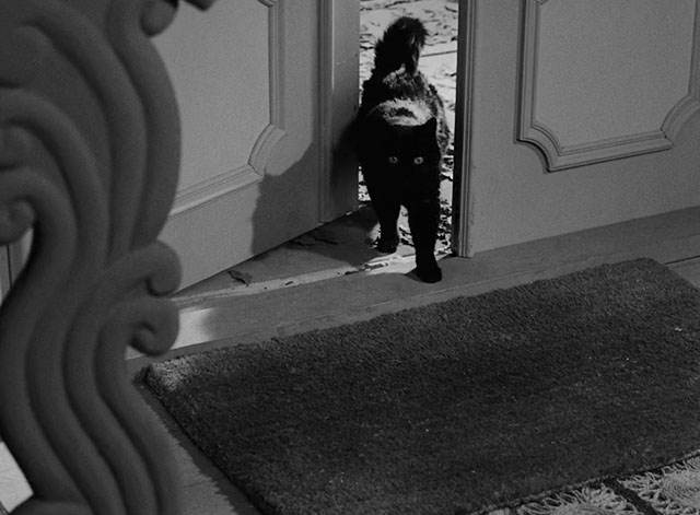 The Devil's Eye - Djävulens öga - black cat entering through front door