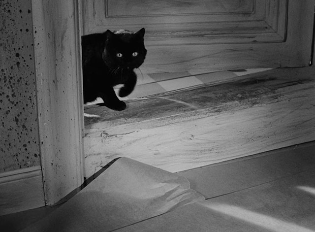 The Devil's Eye - Djävulens öga - black cat entering through door