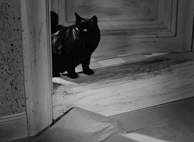 The Devil's Eye - Djävulens öga - black cat entering through door