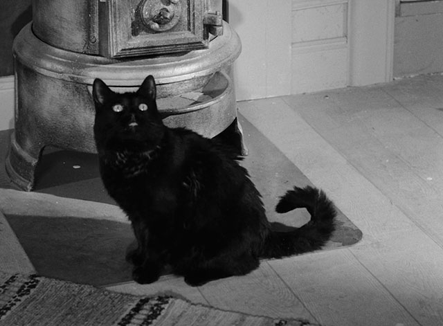 The Devil's Eye - Djävulens öga - black cat sitting on floor