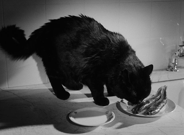 The Devil's Eye - Djävulens öga - black cat eating from plate of herring with milk in saucer