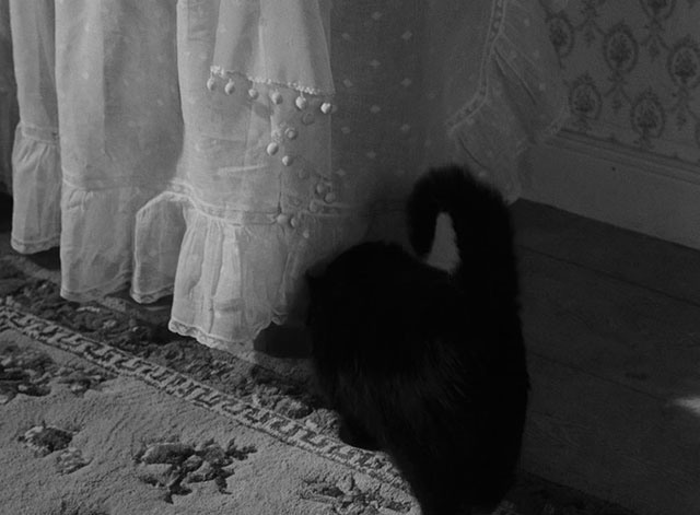The Devil's Eye - Djävulens öga - black cat hiding under table cover