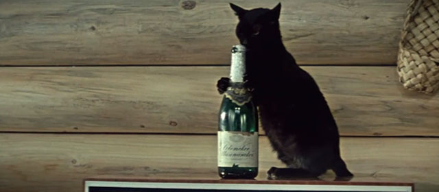 The Diamond Arm - black cat chewing on top of champagne bottle