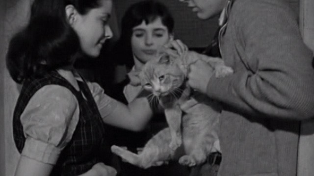The Diary of Anne Frank - orange tabby cat Mouschi Orangey caught by Margot Diane Baker with Anne Millie Perkins