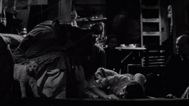 The Diary of Anne Frank - orange tabby cat Mouschi Orangey standing by family on floor