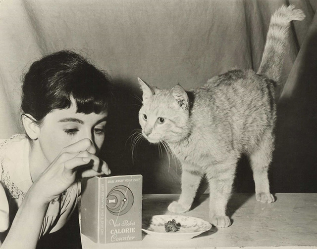 The Diary of Anne Frank - orange tabby cat Mouschi Orangey with Anne Millie Perkins looking at diet book publicity still