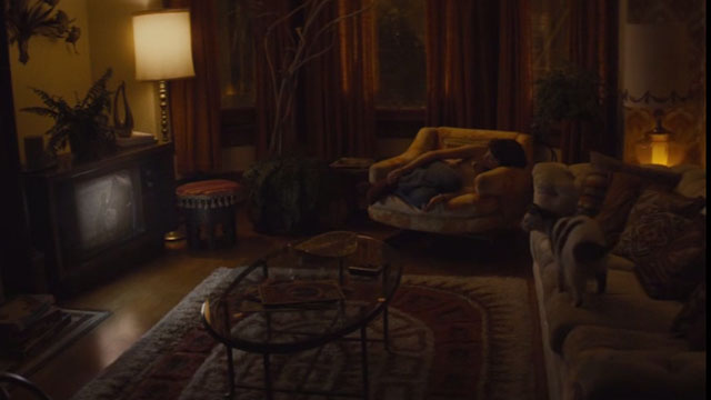 Diary of a Teenage Girl - grey and white cat Domino Willie on coach in front of Minnie Bel Powley