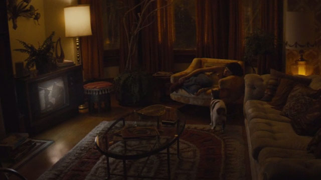 Diary of a Teenage Girl - grey and white cat Domino Willie approaching Minnie Bel Powley