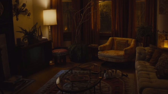 Diary of a Teenage Girl - grey and white cat Domino Willie alone in living room