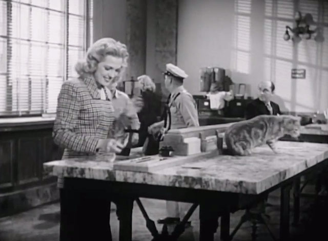 Dick Tracy Meets Gruesome - Tess Trueheart Anne Gwynne smiling at tabby cat sitting on table in bank with guard Harry Harvey behind