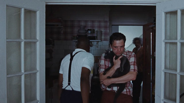 A Different Man - blue cat held by Edward Sebastian Stan lap with Ollie Billy Griffith