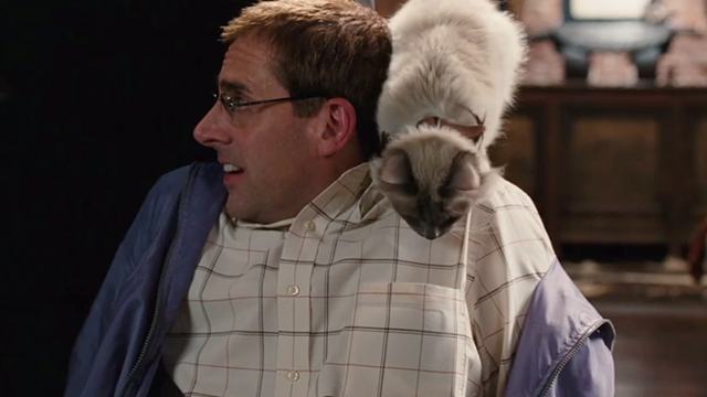 Dinner for Schmucks - Himalayan cat on Barry's Steve Carell shoulder