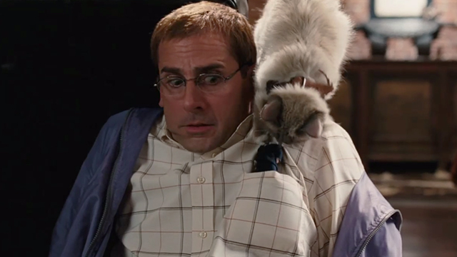 Dinner for Schmucks - Himalayan cat fishing mouse out of Barry's Steve Carell shirt pocket
