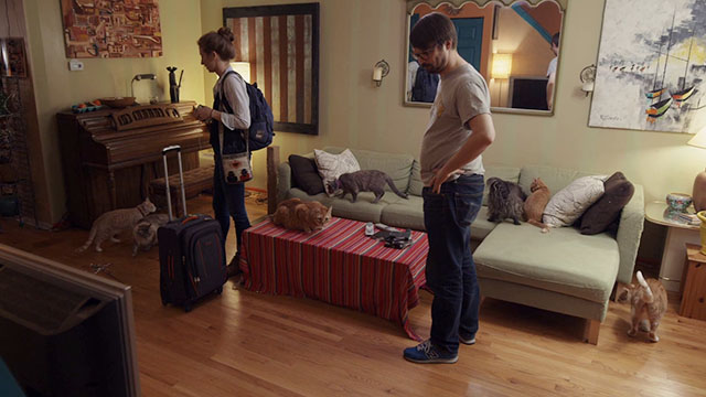 Discontinuity - Tabitha Sam Howard and Stephen Ben Johnson surrounded by cats