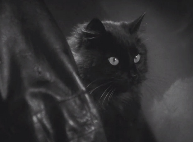 Dishonored - long-haired black cat Blackie