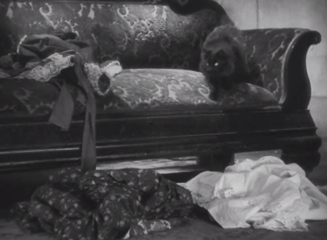 Dishonored - long-haired black cat Blackie jumping down from couch