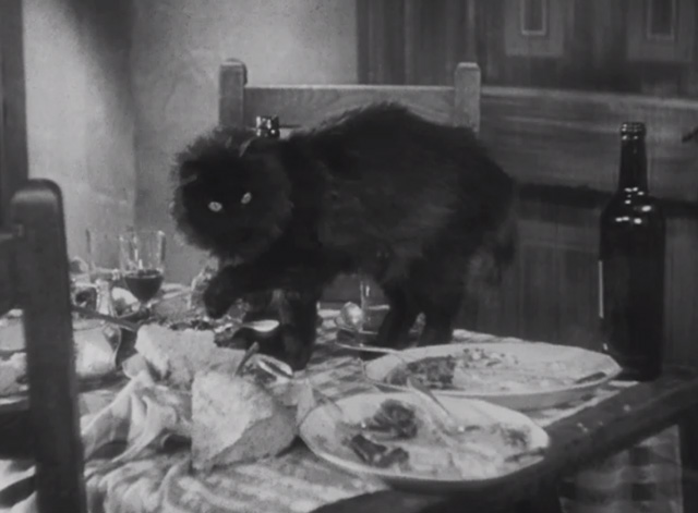 Dishonored - long-haired black cat Blackie on table