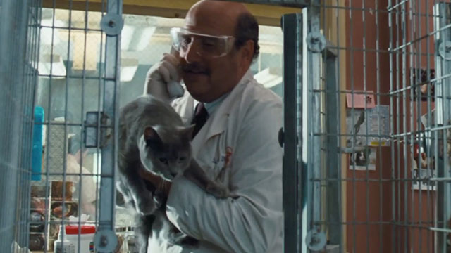 Doctor Dolittle - gray cat being put awkwardly into cage by Dr. Fish Jeffrey Tambor
