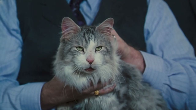 Doctor Dolittle - longhaired gray and white tabby cat Bettleheim talking