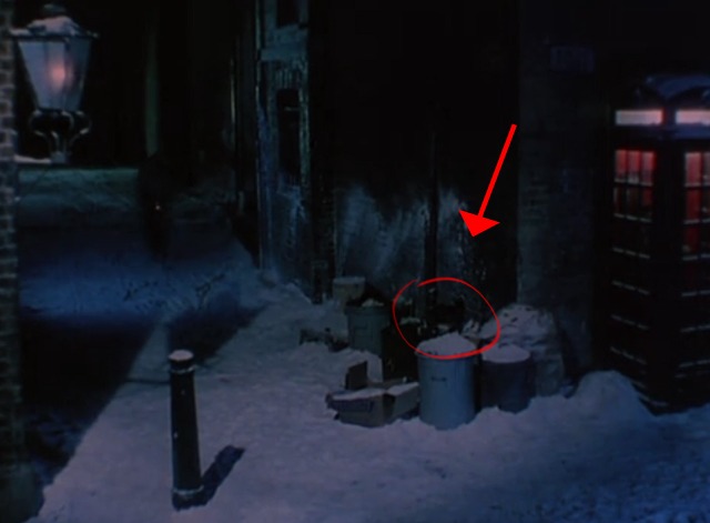 Doctor in the House - cat in alley before bike crash