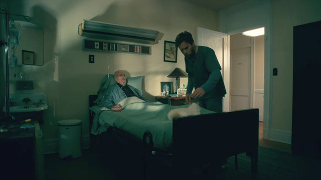 Doctor Sleep - Azrael Azzy Bonkers long-haired Siamese mix cat on elderly man's bed with Dan Ewan McGregor