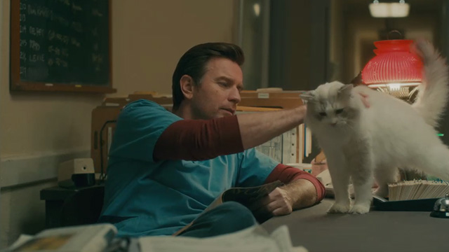Doctor Sleep (2019) Cinema Cats