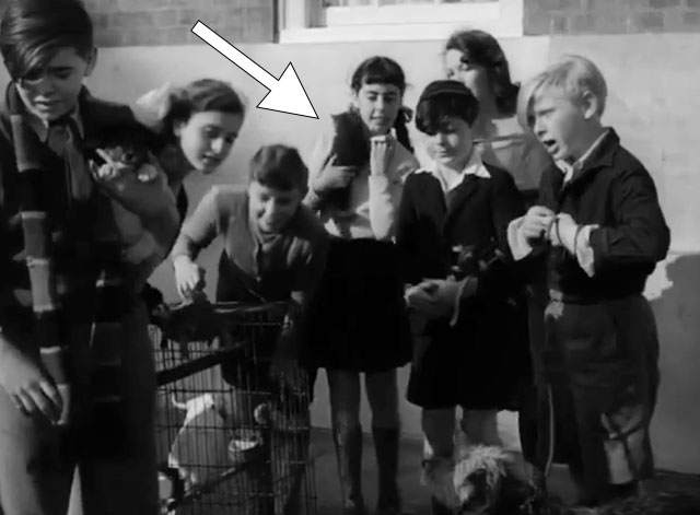 The Dog and the Diamonds - Linda Molly Osborne holding kitten Frisky with other kids and their pets