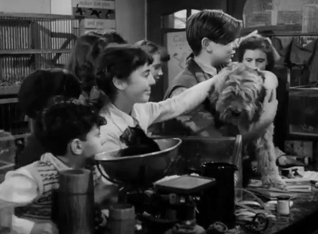 The Dog and the Diamonds - Linda Molly Osborne with tabby kitten Frisky on scale and other kids and their pets in pet shop