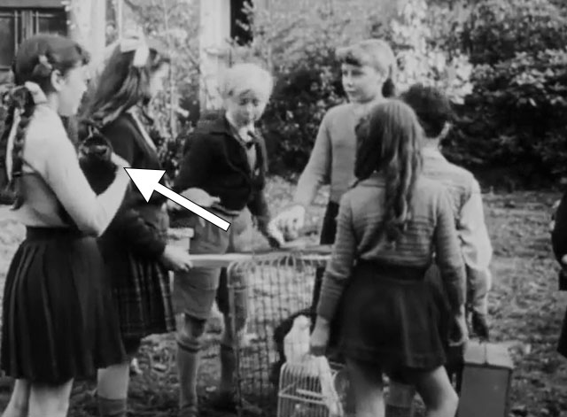 The Dog and the Diamonds - Linda Molly Osborne holding tabby kitten Frisky with other kids and their pets on manor grounds