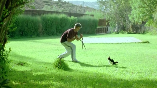Dogtooth - son Hristos Passalis with shears creeps up on tuxedo cat sitting in yard
