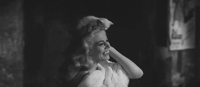 La dolce vita - Sylvia Anita Ekberg walking with white kitten