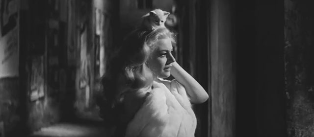 La dolce vita - Sylvia Anita Ekberg walking with white kitten