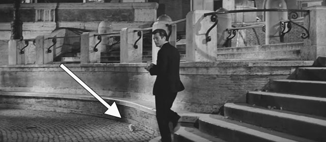 La dolce vita - Sylvia Anita Ekberg walking with white kitten