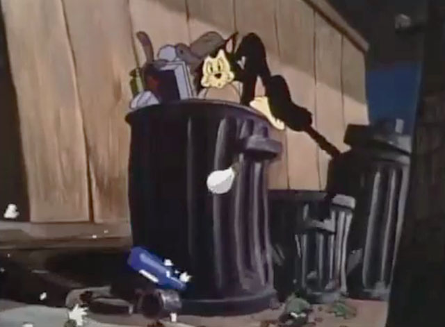 Donald's Crime - black cat knocking light bulbs out of garbage can