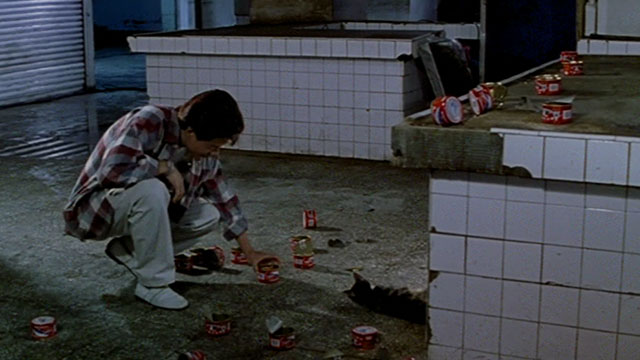 Dong - The Hole - man Kang-sheng Lee feeding tortie and white cat from can of food