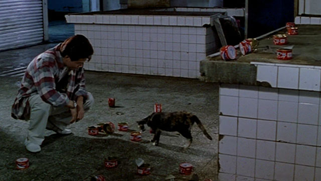 Dong - The Hole - man Kang-sheng Lee feeding tortie and white cat from can of food