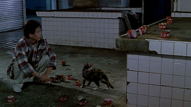 Dong - The Hole - man Kang-sheng Lee feeding tortie and white cat from can of food