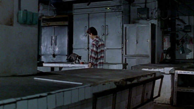 Dong - The Hole - man Kang-sheng Lee feeding tortie and white cat from can of food