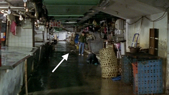 Dong - The Hole - man Kang-sheng Lee walking down market walkway as cat crosses behind him