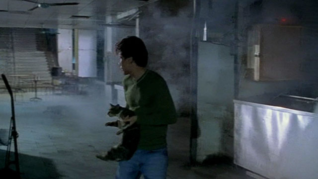 Dong - The Hole - man Kang-sheng Lee carrying tortie and white cat through marketplace being fumigated